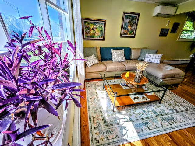 PrivateDriveway+UAlbany2mi+WFH-Ready+120″Projector gallery image 3