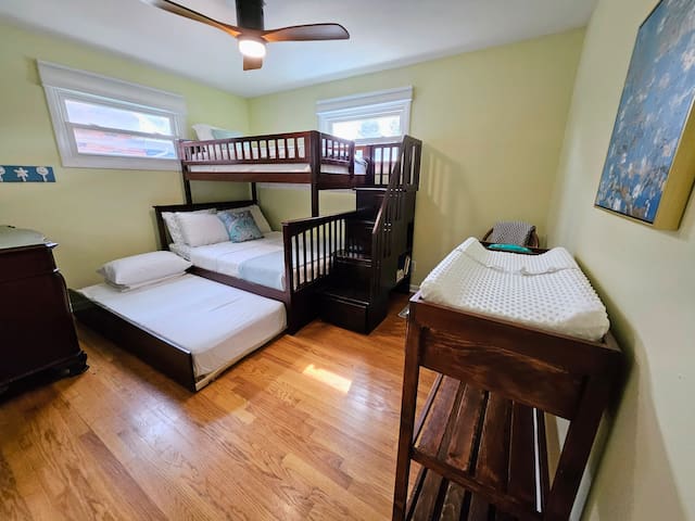 PrivateDriveway+UAlbany2mi+WFH-Ready+120″Projector