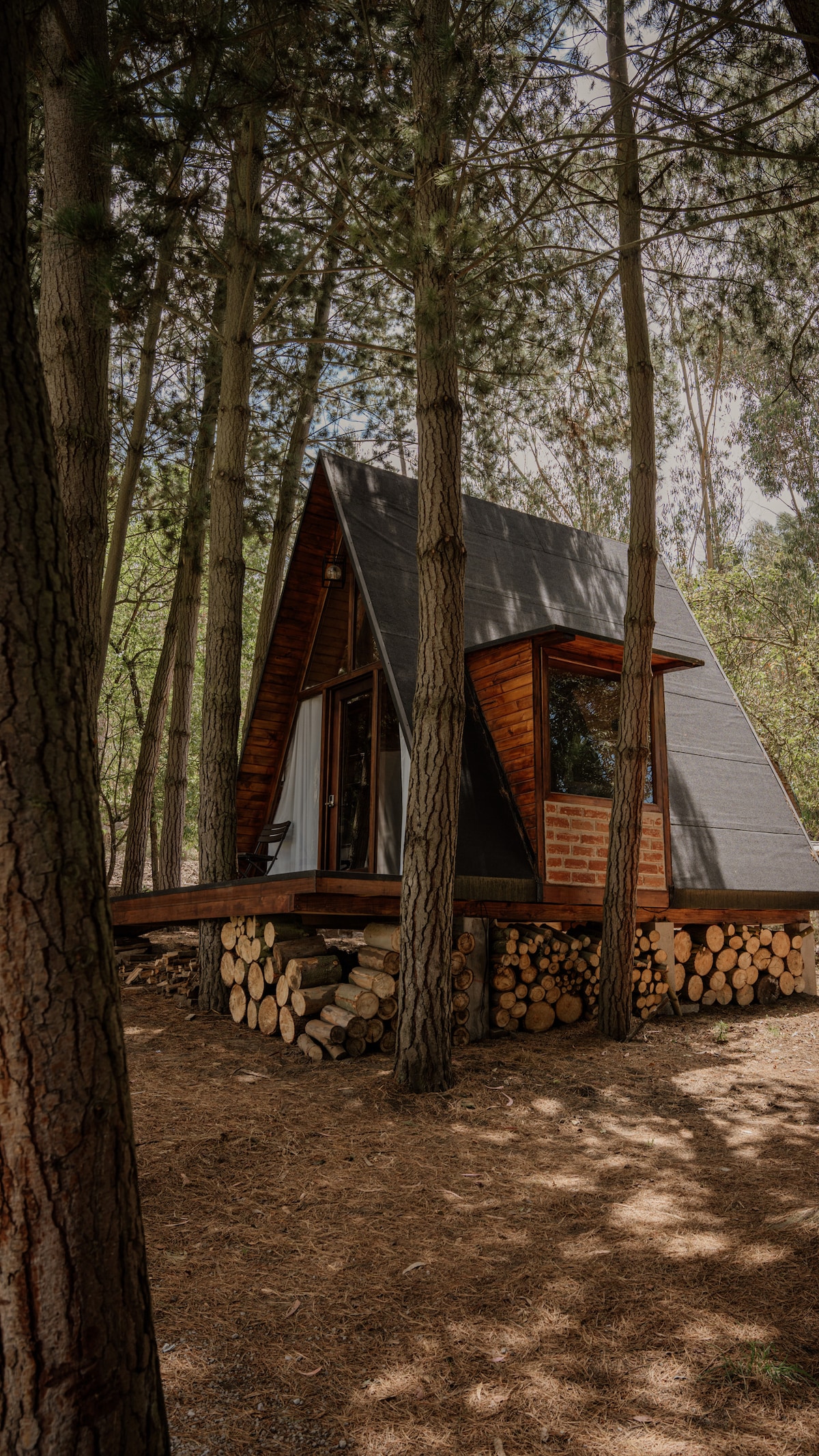 An A-frame cabin stands among tall trees, featuring a wooden exterior complemented by large windows. The structure is elevated on a platform made of stacked logs, surrounded by natural forest ground cover. Soft light filters through the branches, creating a serene environment.