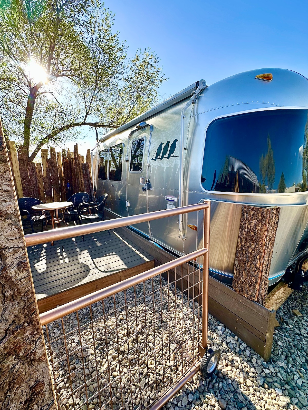 An Airstream is positioned against a backdrop of wooden fencing, featuring a sunlit deck area with two black chairs and a small table. The exterior reflects sunlight, creating a polished appearance, while nearby trees provide shade and natural surroundings.
