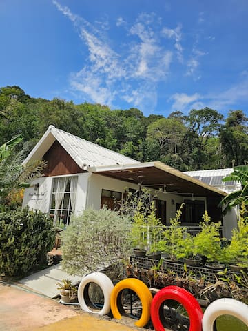 Tropical Oasis Aoyon Beach House managed Airbnb listing 2
