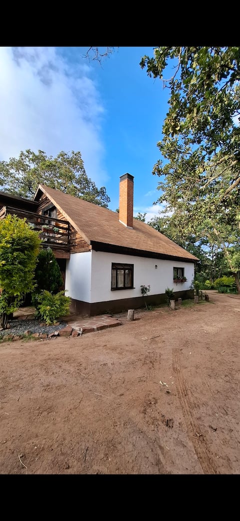 German cabin for 14 people.