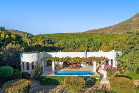 Dreamy Villa Allegria in a Vineyard