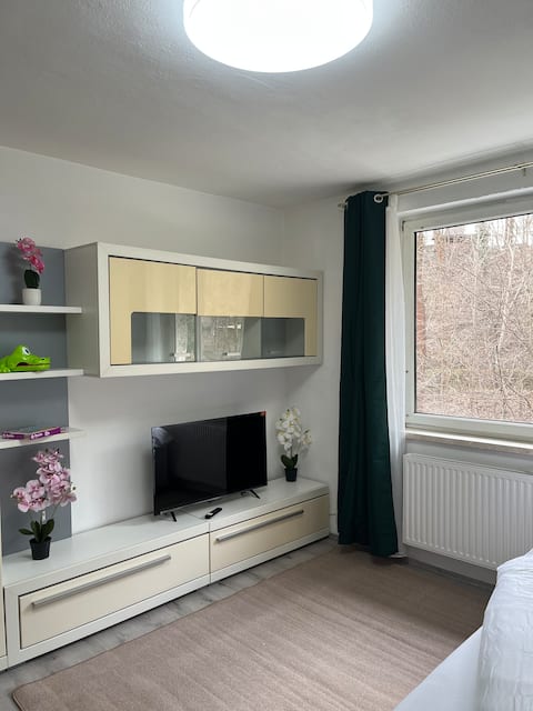 Cozy apartment Kapfenberg