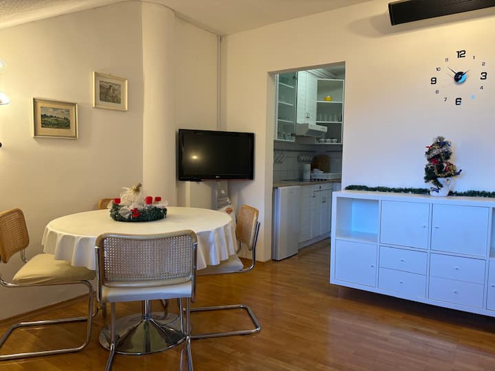 Snežko Apartment - Kranjska Gora