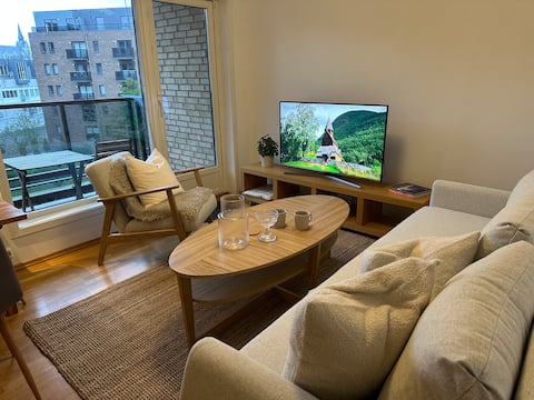Top performing Airbnb: Stavanger Comfortable Living One-bedroom Apartment in Storhaug