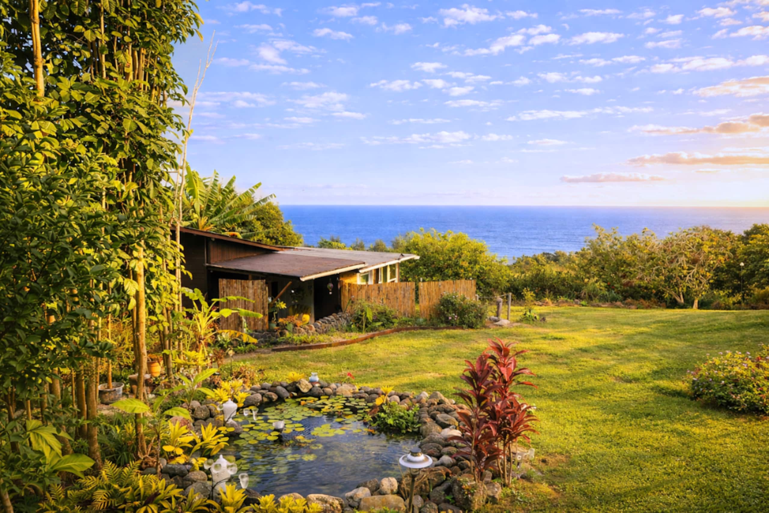 Aloha Magic Cottage w/ Private Porch & Ocean Views - Photo 14