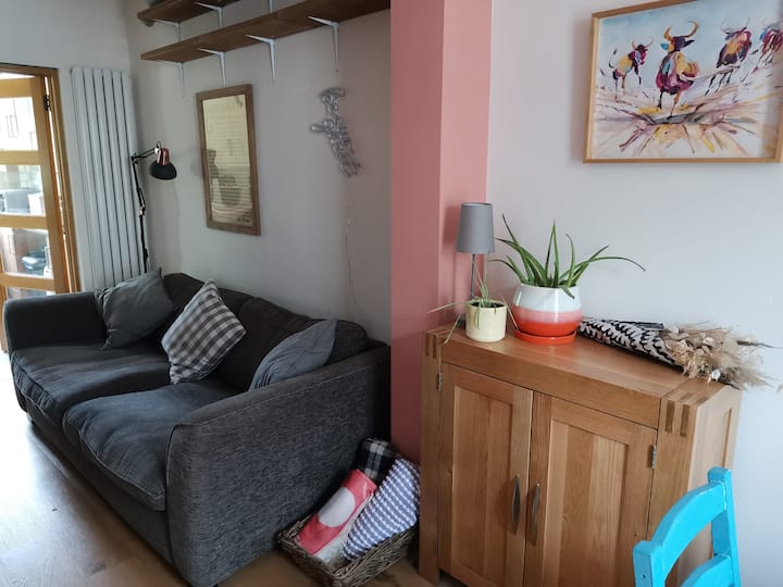 Cosy Wee House Off Ormeau - George Best Belfast City Airport (BHD)