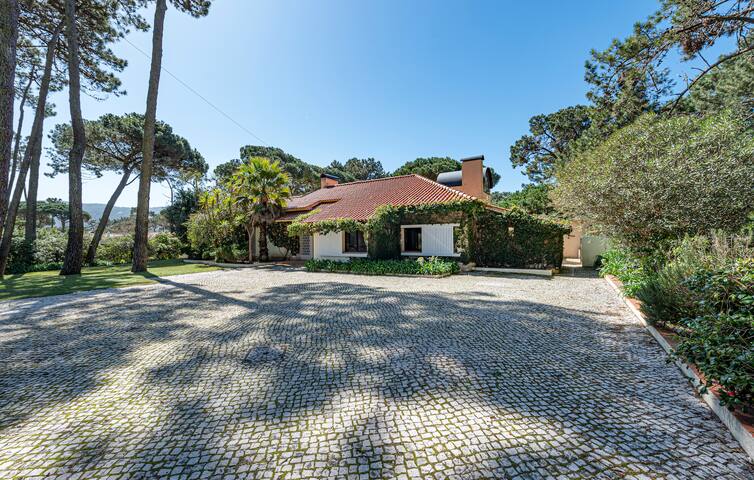 Casa de Família Banzão gallery image 2