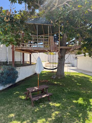 Large House 3 Blocks from La Jolla Shores Beach gallery image 4