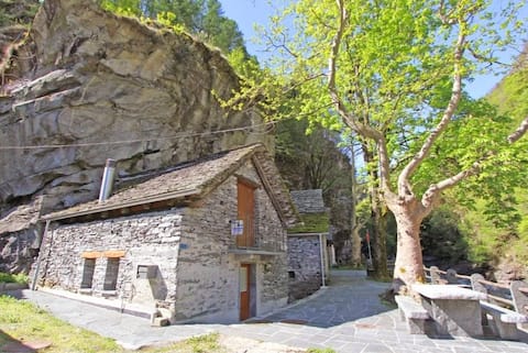 Cottage MAVA