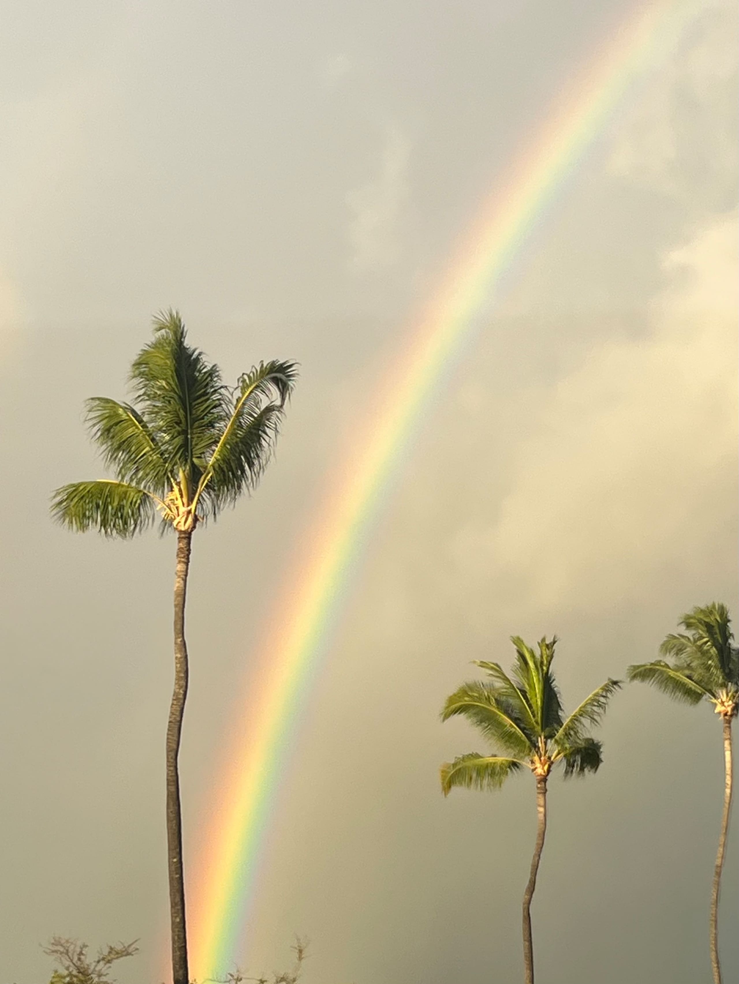 Kona Paradise Ohana Studio - Photo 56