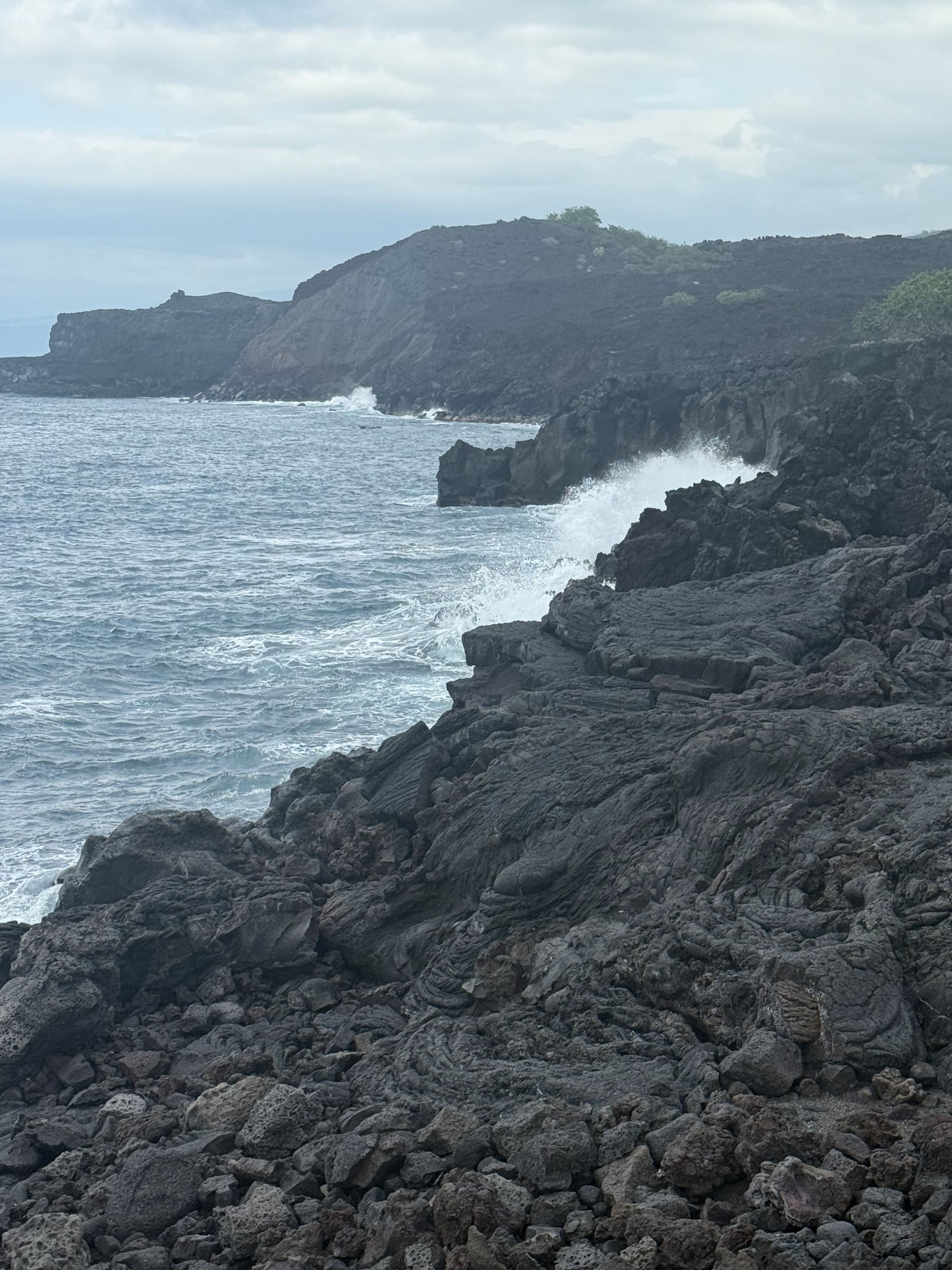 Kona Paradise Ohana Studio - Photo 20