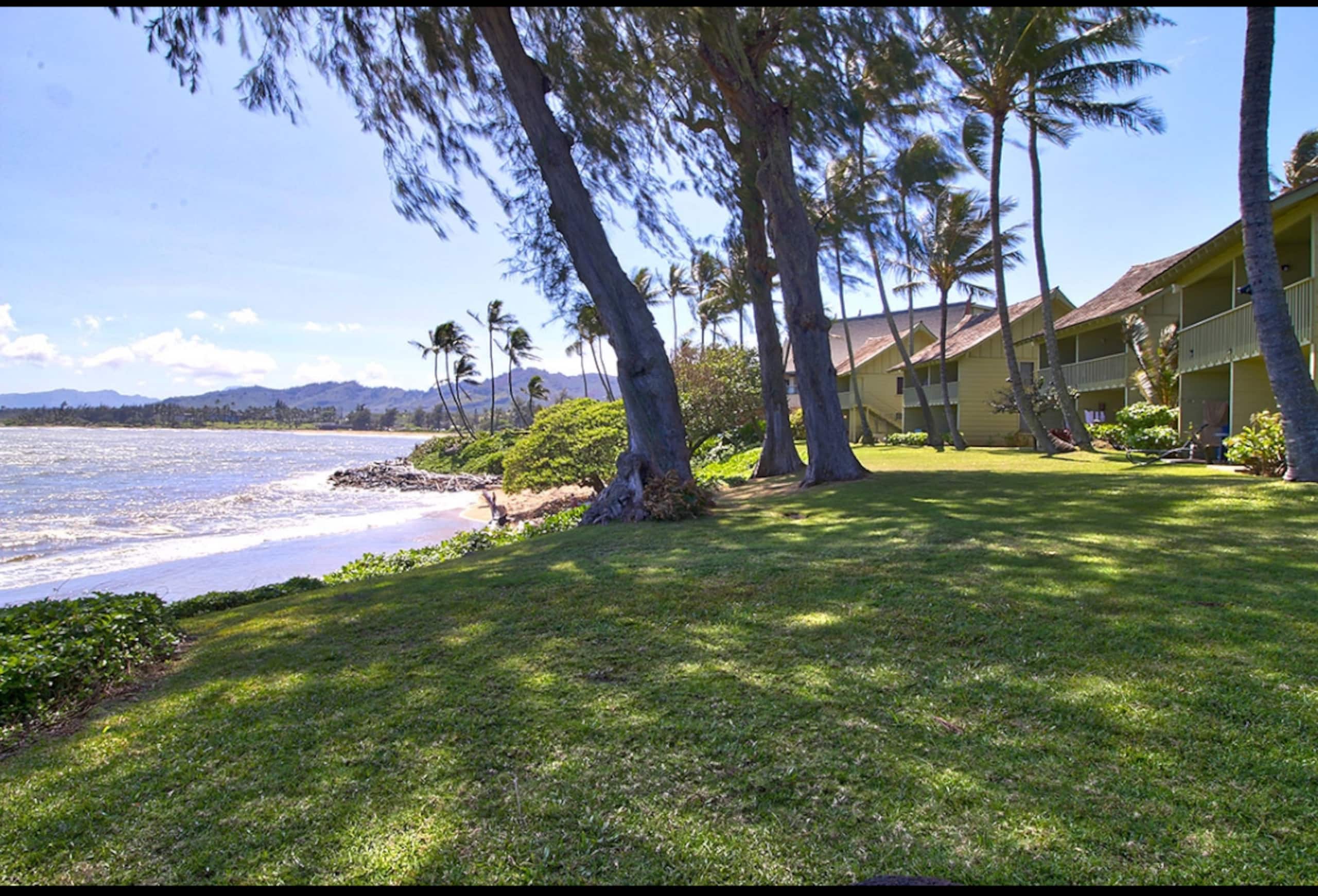 Beach Front paradise  KS unit 6 - Photo 43