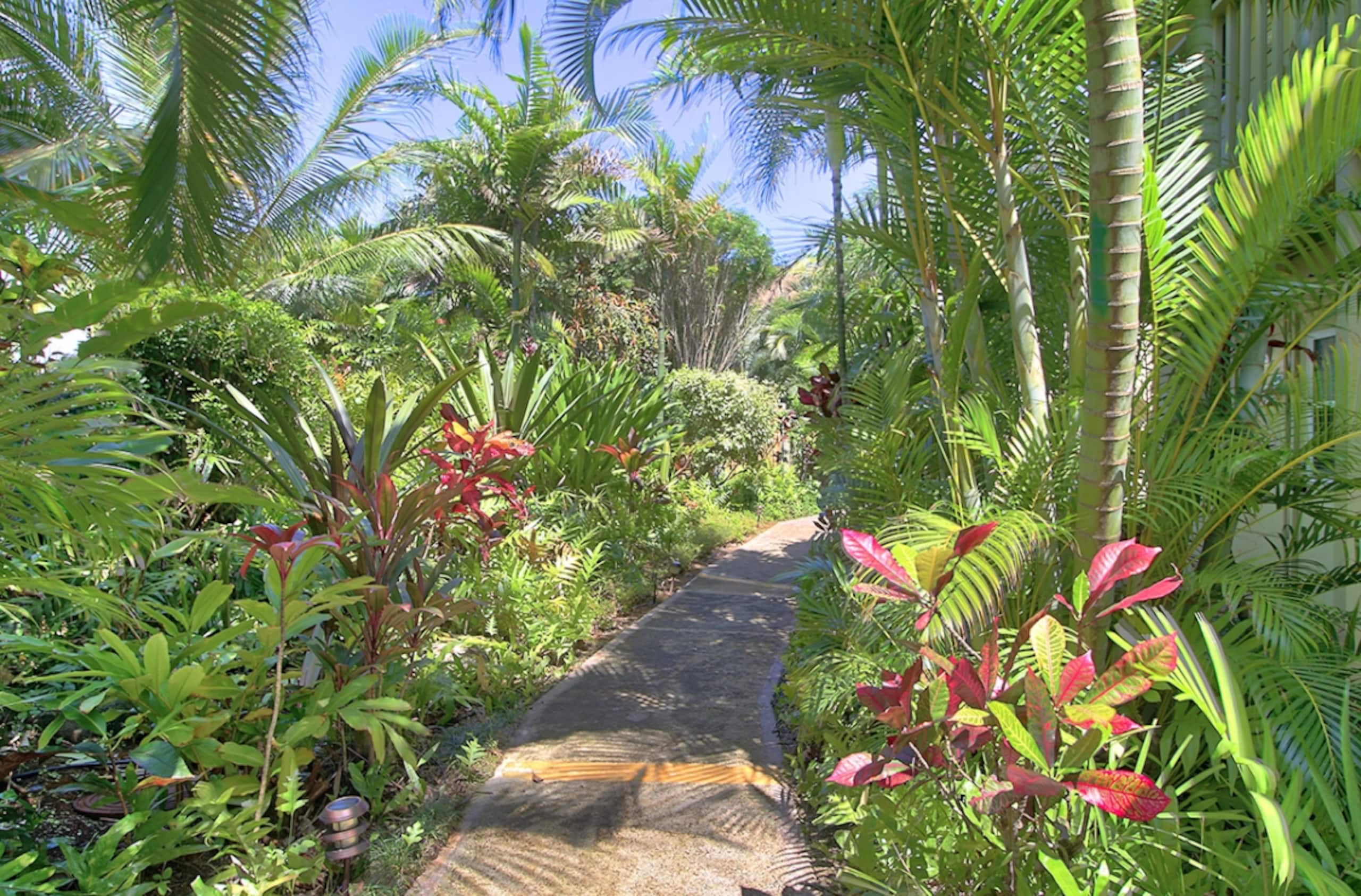 Beach Front paradise  KS unit 6 - Photo 47