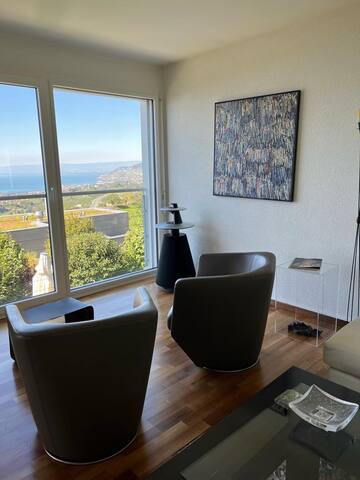 Panoramic Holiday Villa in Montreux gallery image 3