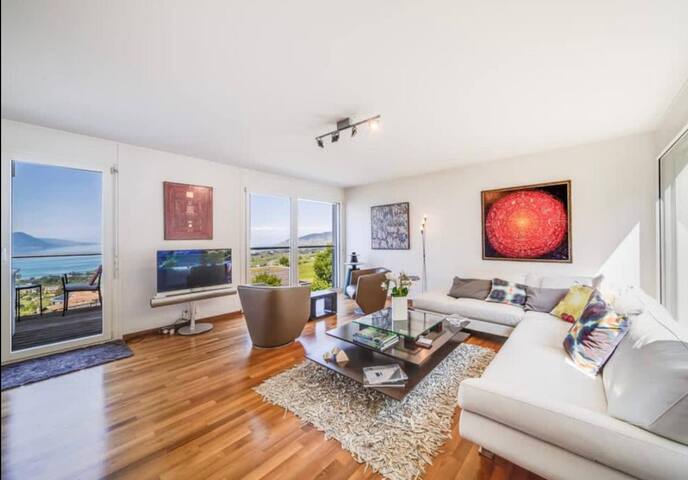 Panoramic Holiday Villa in Montreux gallery image 2