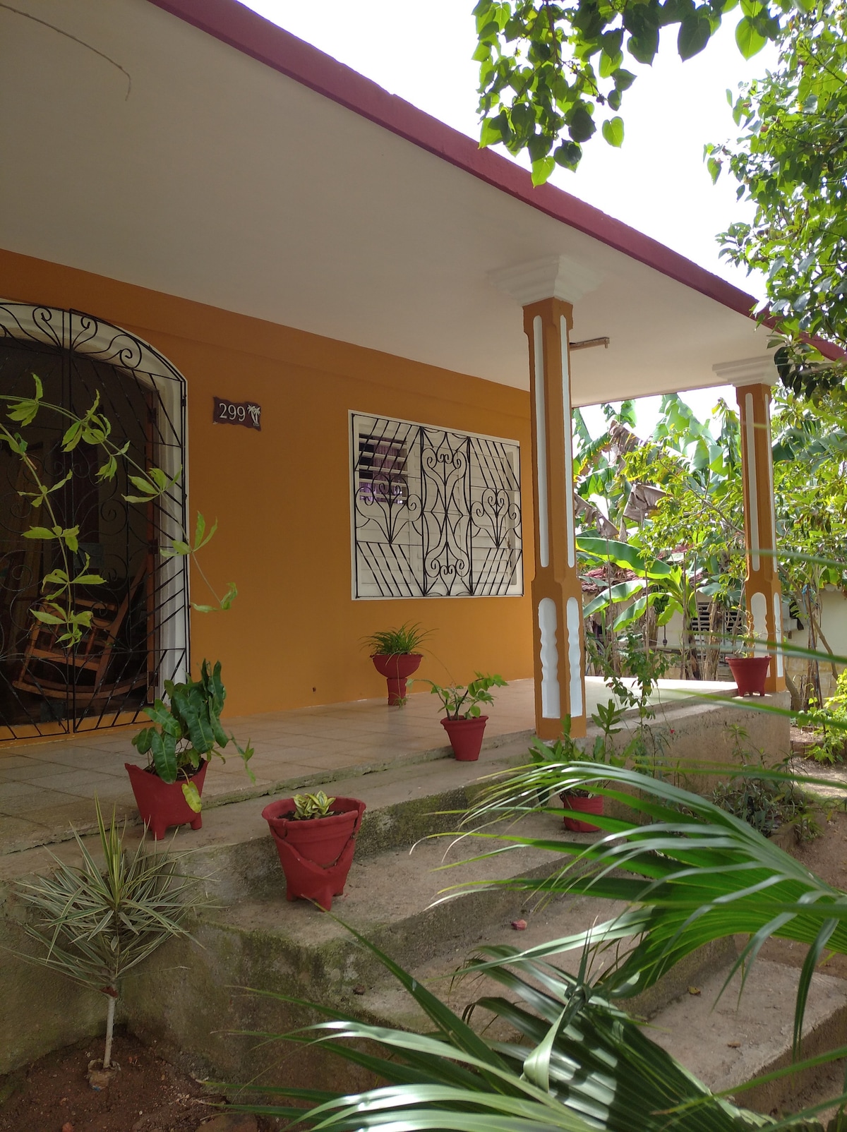 A charming exterior features a welcoming porch with a rocking chair. Potted plants line the steps, enhancing the outdoor space. The orange walls and decorative trim provide a vibrant contrast to the greenery surrounding the home.