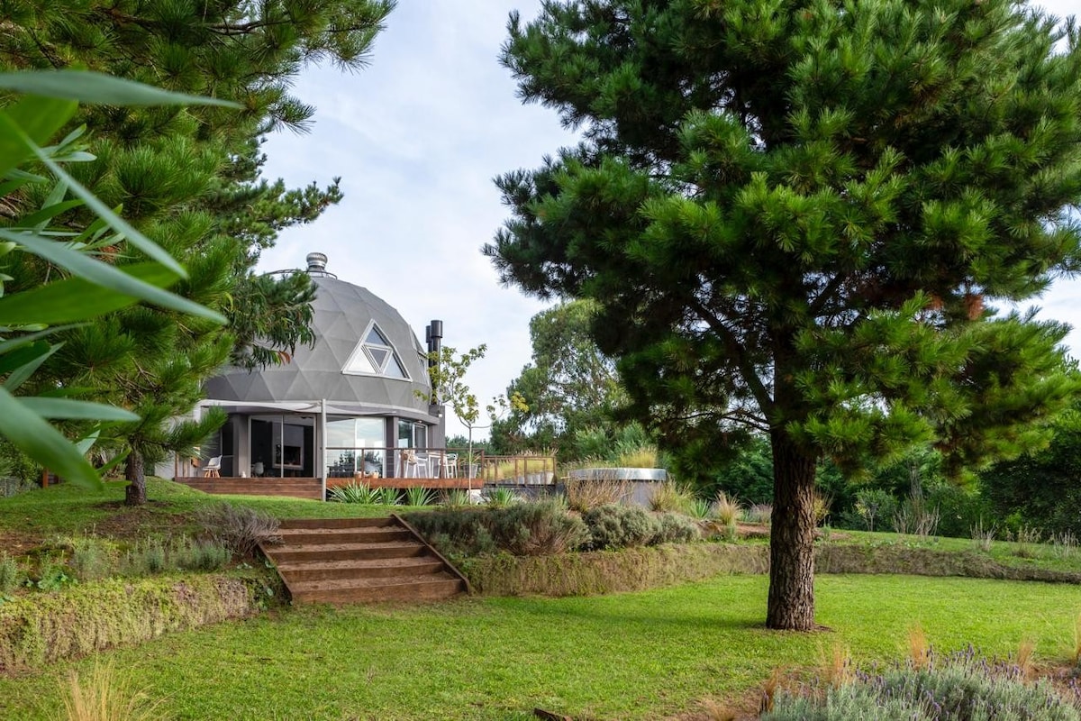 A geodesic dome structure is set against a backdrop of lush greenery, with tall pine trees framing the scene. A gently sloping lawn, bordered by ornamental plants, leads to a spacious outdoor deck, providing a serene setting for relaxation.
