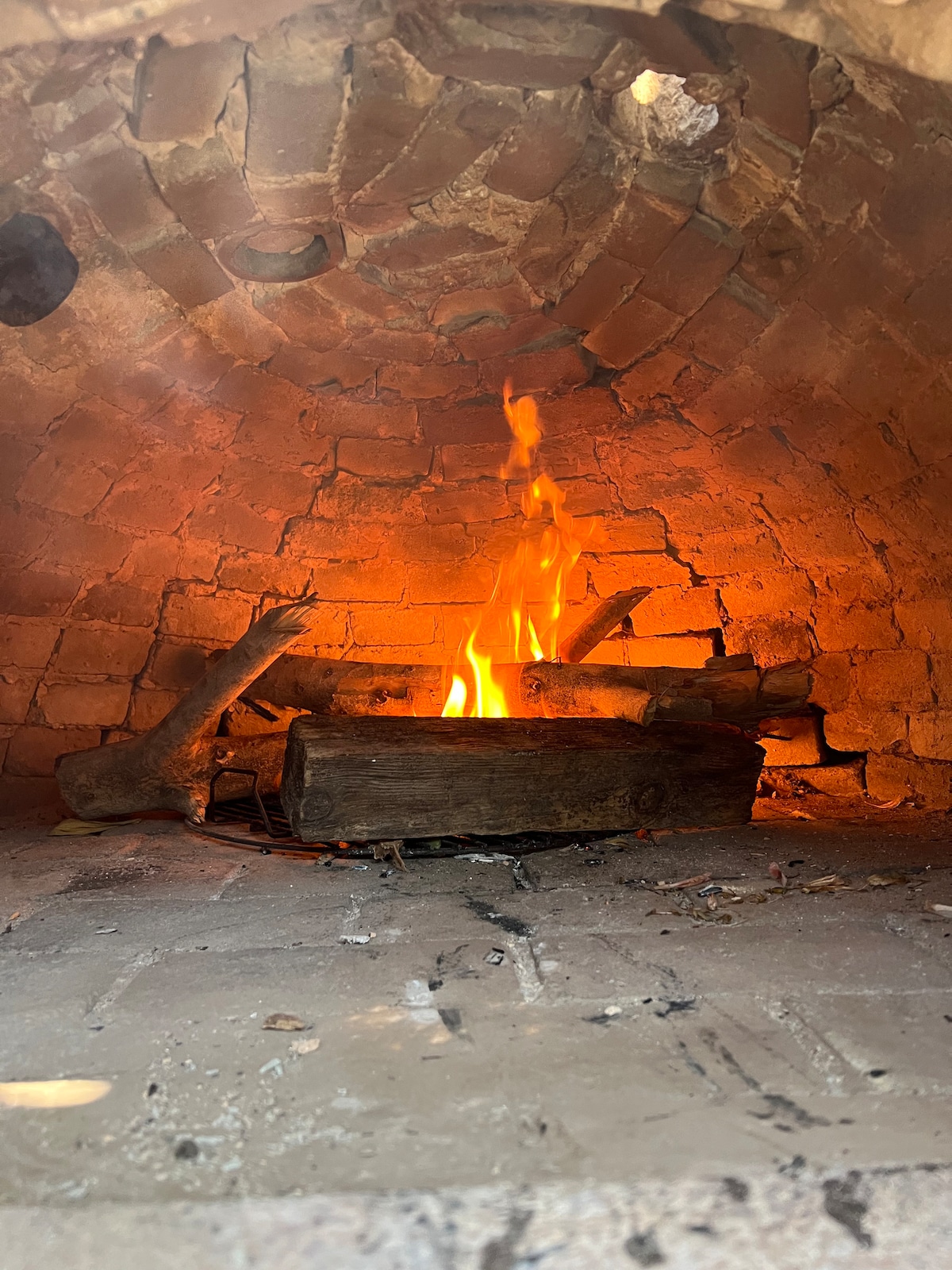 An inviting wood-fired oven is captured, showcasing a warm flame flickering amidst a stack of logs. The interior is constructed from rustic bricks, adding a touch of charm. Ashes and remnants of previous uses are visible on the floor, enhancing the scene's authenticity.