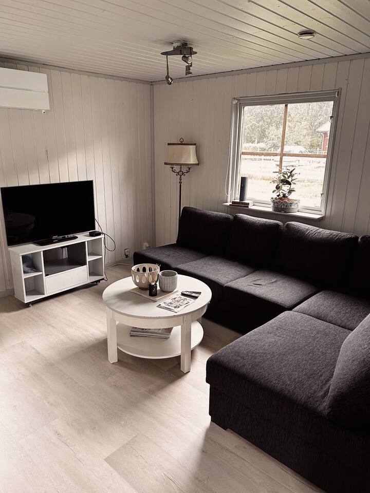 Sú tu TV sticky, takže môžete sledovať cez telefón.