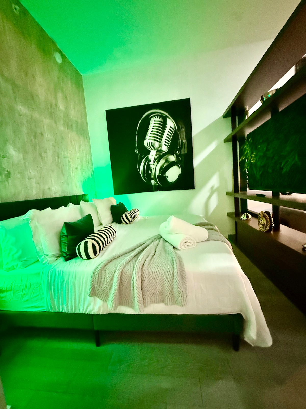 Penthouse Studio