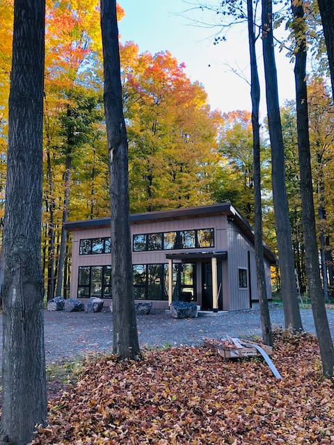 King Bed, Cornell, Ithaca, WineTrail, Hiking