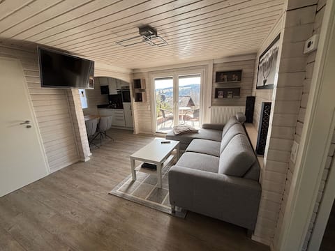 Top performing Airbnb: Log cabin in the heathland village in Hochsauerlandkreis