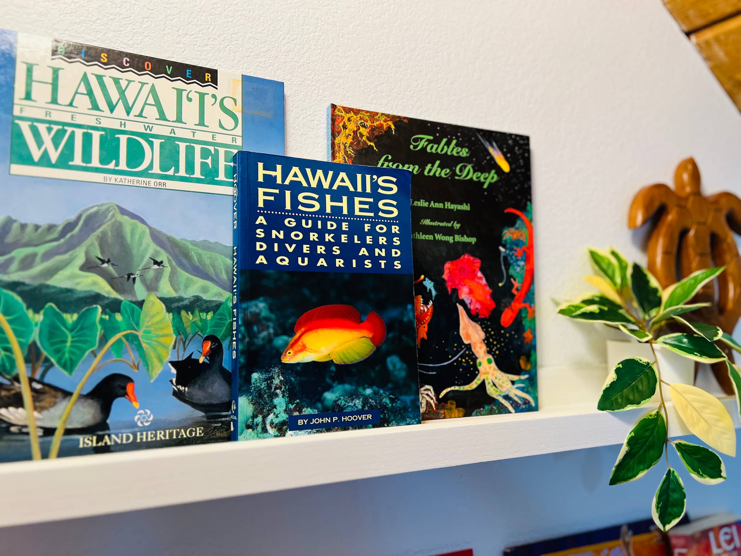 NEW Hanalei Happiness - Modern Family Retreat - Image 34