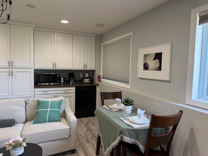 Charming Basement Bedroom - Minnesota