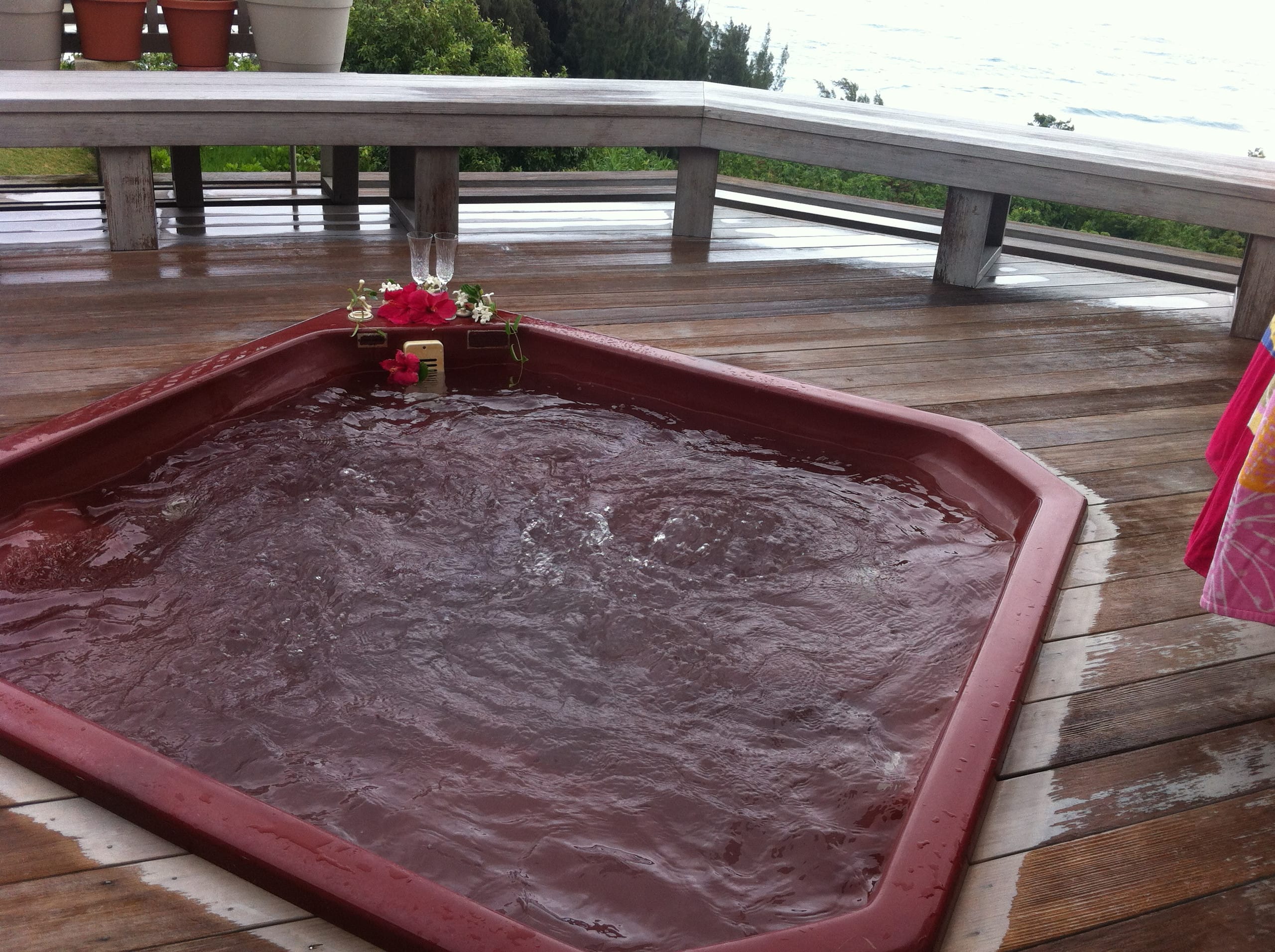 Guesthouse in Princeville · ★5.0 · Studio · 1 bed · 1 bath - Image 7