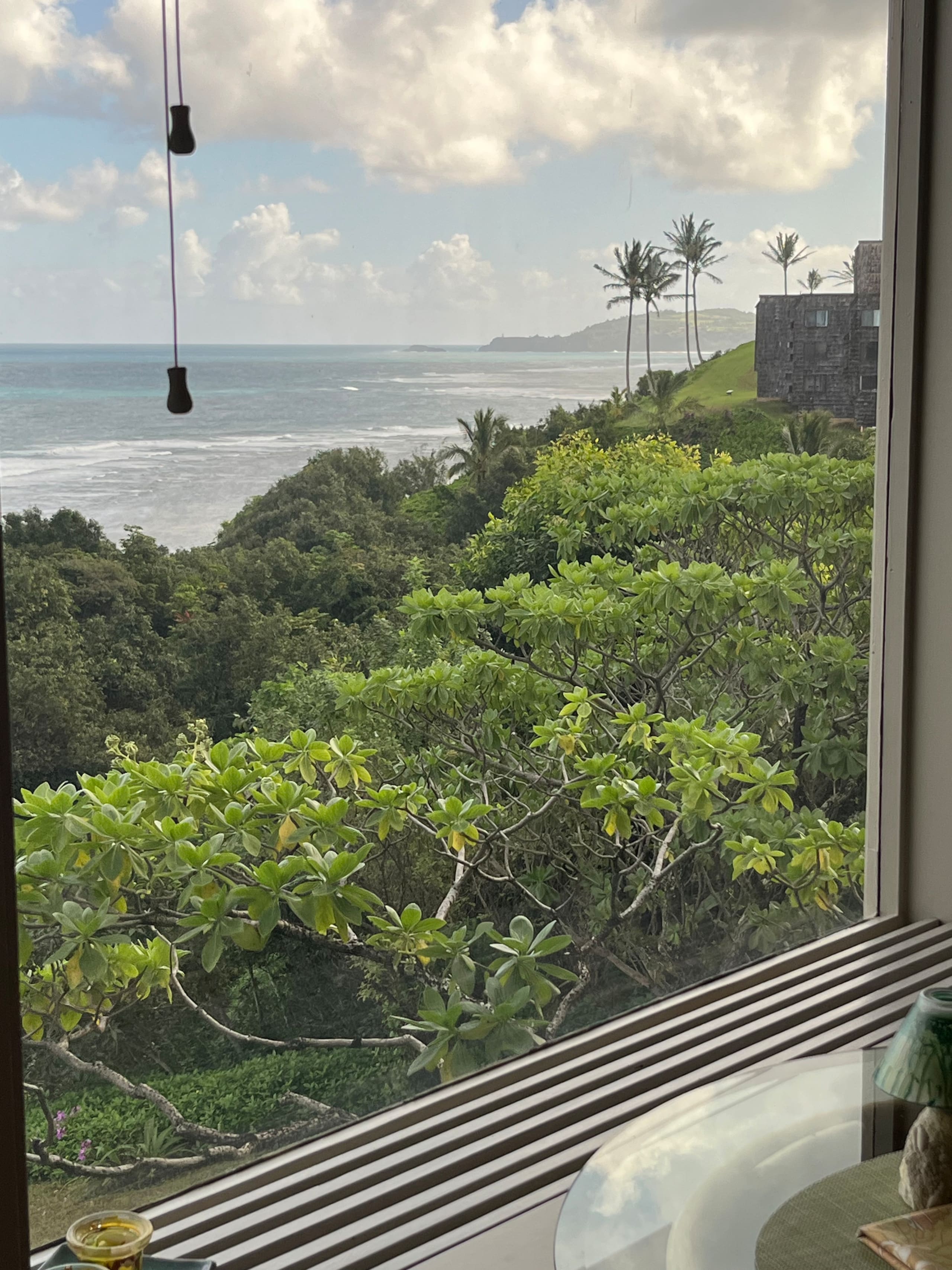 Guesthouse in Princeville · ★5.0 · Studio · 1 bed · 1 bath - Image 15