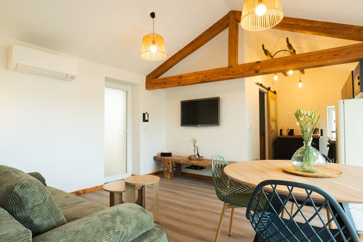 Logement Entier 45m2 Tout Confort+terrasse 35m2 - Andrézieux-Bouthéon
