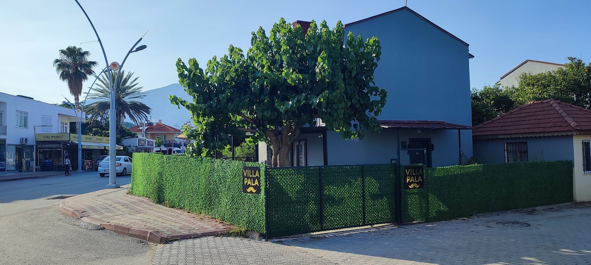 The exterior of a two-story building is visible, surrounded by a green fence and shaded by a large leafy tree. A sign reading 'Villa Pala' is prominently displayed. Nearby, shops and palm trees are observed in the background, contributing to a lively street scene.