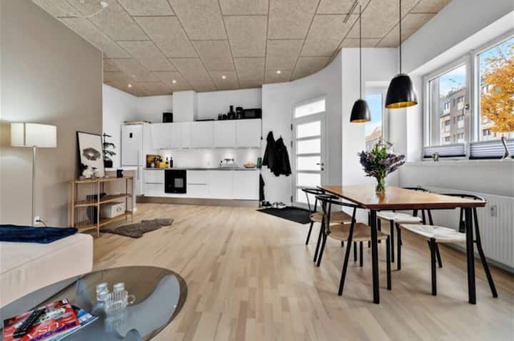 Stunning Luxury Apartments In Odense Denmark With Multiple Storage Rooms image