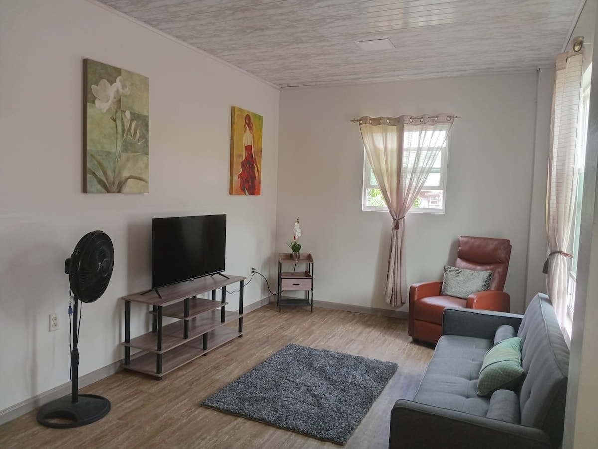 A comfortable living area is presented, featuring a gray sofa and a brown recliner. A flat-screen television rests on a wooden stand, accompanied by a plush area rug. Natural light flows through sheer curtains covering the window, enhancing the space's welcoming ambiance.