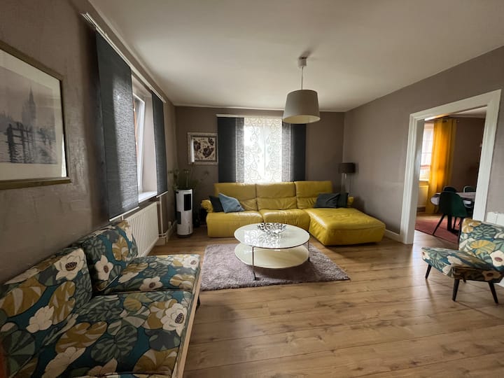Le Gîte Du Tailleur Et Son Bain Finlandais - Breisach am Rhein