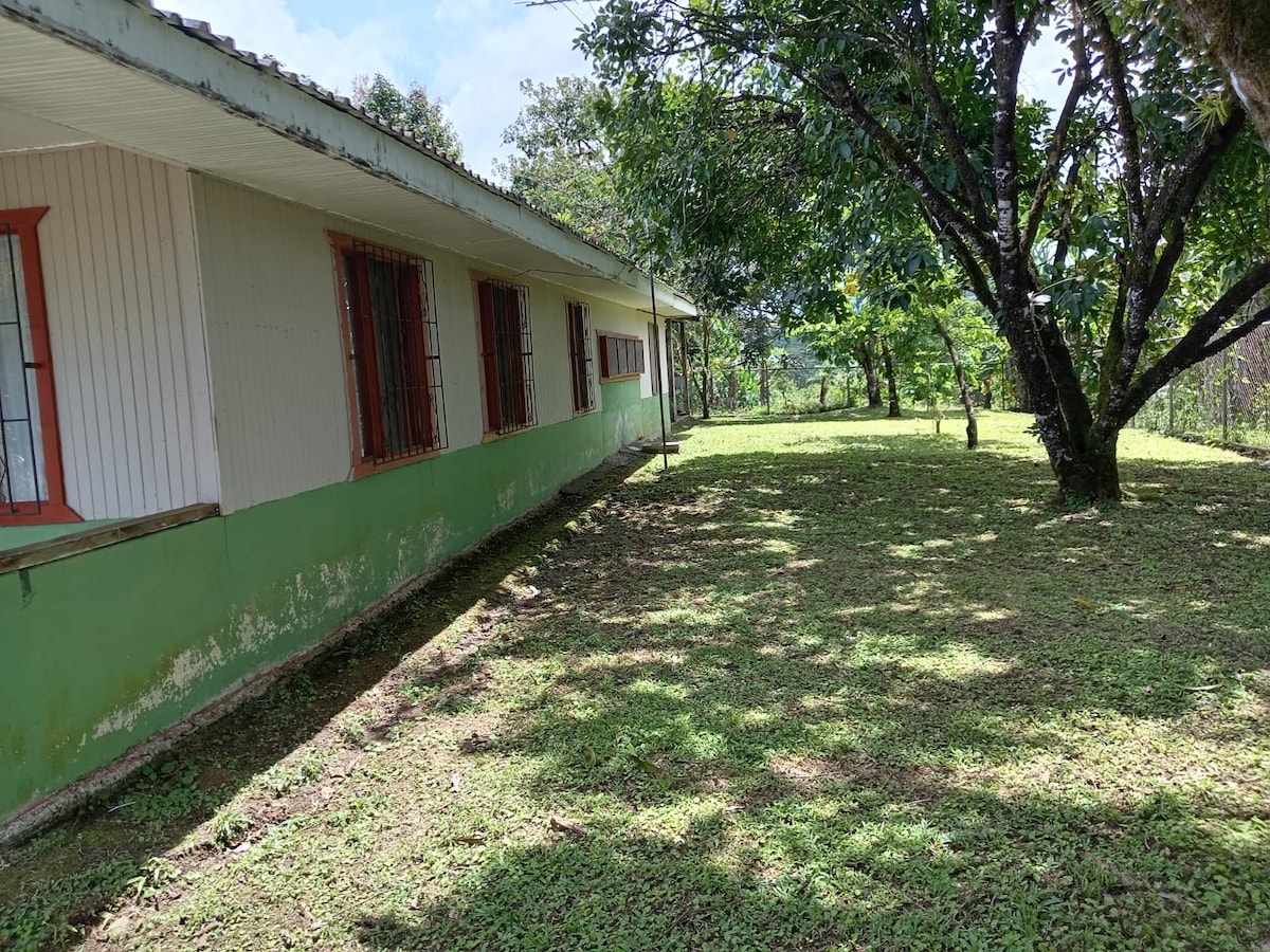 A side view of the house reveals multiple windows framed in red, which allow natural light to fill the interior. A well-maintained grassy area is surrounded by trees, providing ample shaded space for relaxation. The ground is leveled, contributing to a serene atmosphere.