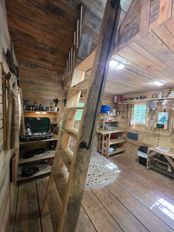 Tiny Cabin - Raelean - Jacksonville, AL