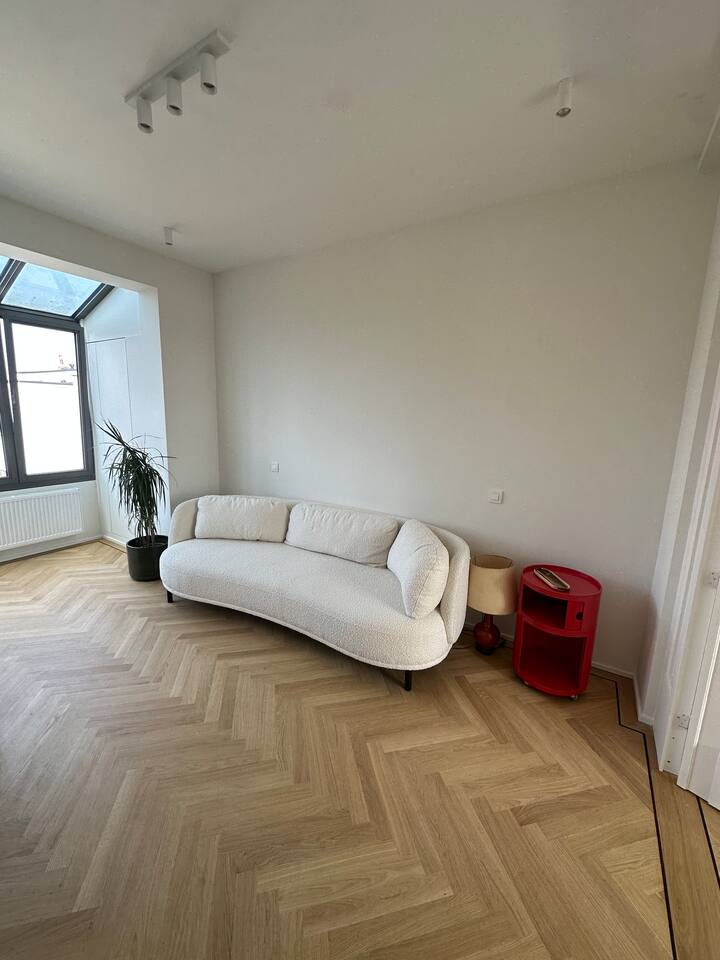 Cozy Apartement, Completely Renovated - Bruselas, Bélgica