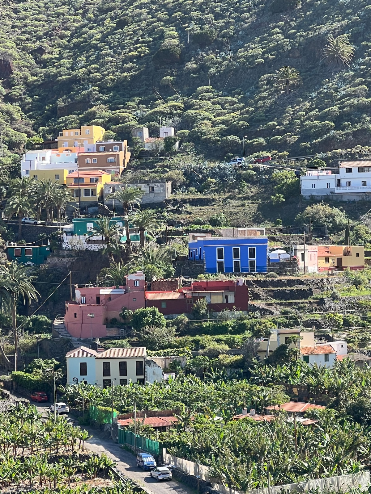 A hillside view captures a colorful array of homes nestled among vibrant greenery. Varied architectural styles are displayed, with houses painted in bright colors including yellow, blue, and pink. Palm trees are visible throughout the landscape, adding to the natural appeal of the surroundings.