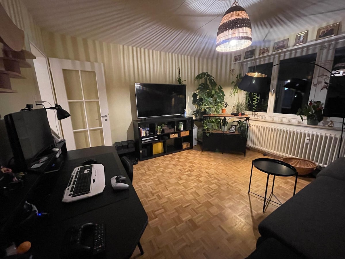 A bright living area is presented, featuring a comfortable sectional sofa and modern entertainment setup with a large television. Various plants are arranged throughout the room, adding a touch of greenery. Soft lighting is provided by a woven pendant lamp, enhancing the cozy ambiance.