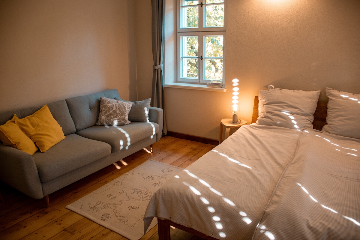 A well-lit bedroom features a spacious bed alongside a cozy sofa adorned with cushions. Natural light filters through the window, casting patterns on the wooden floor. A decorative rug and a lamp on a nightstand add to the serene ambiance.
