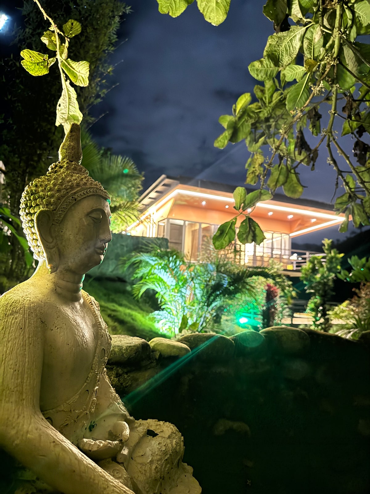 A serene Buddha statue is positioned among lush greenery, providing a focal point in the foreground. The well-lit modern structure is visible in the background, surrounded by tropical plants and illuminated by soft lighting, creating a peaceful ambiance.