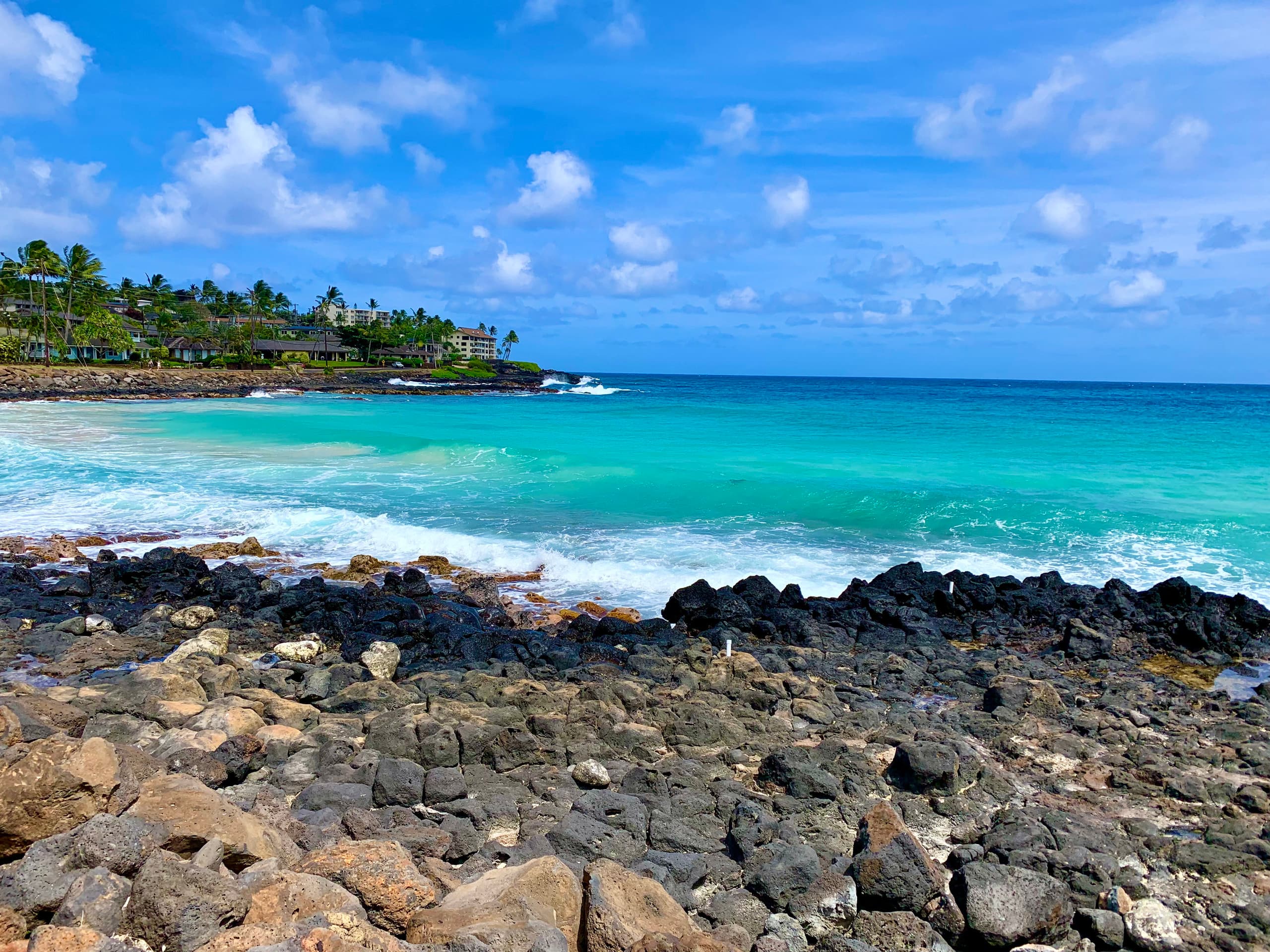 Home in Koloa · ★4.97 · 2 bedrooms · 5 beds · 2 baths - Image 88