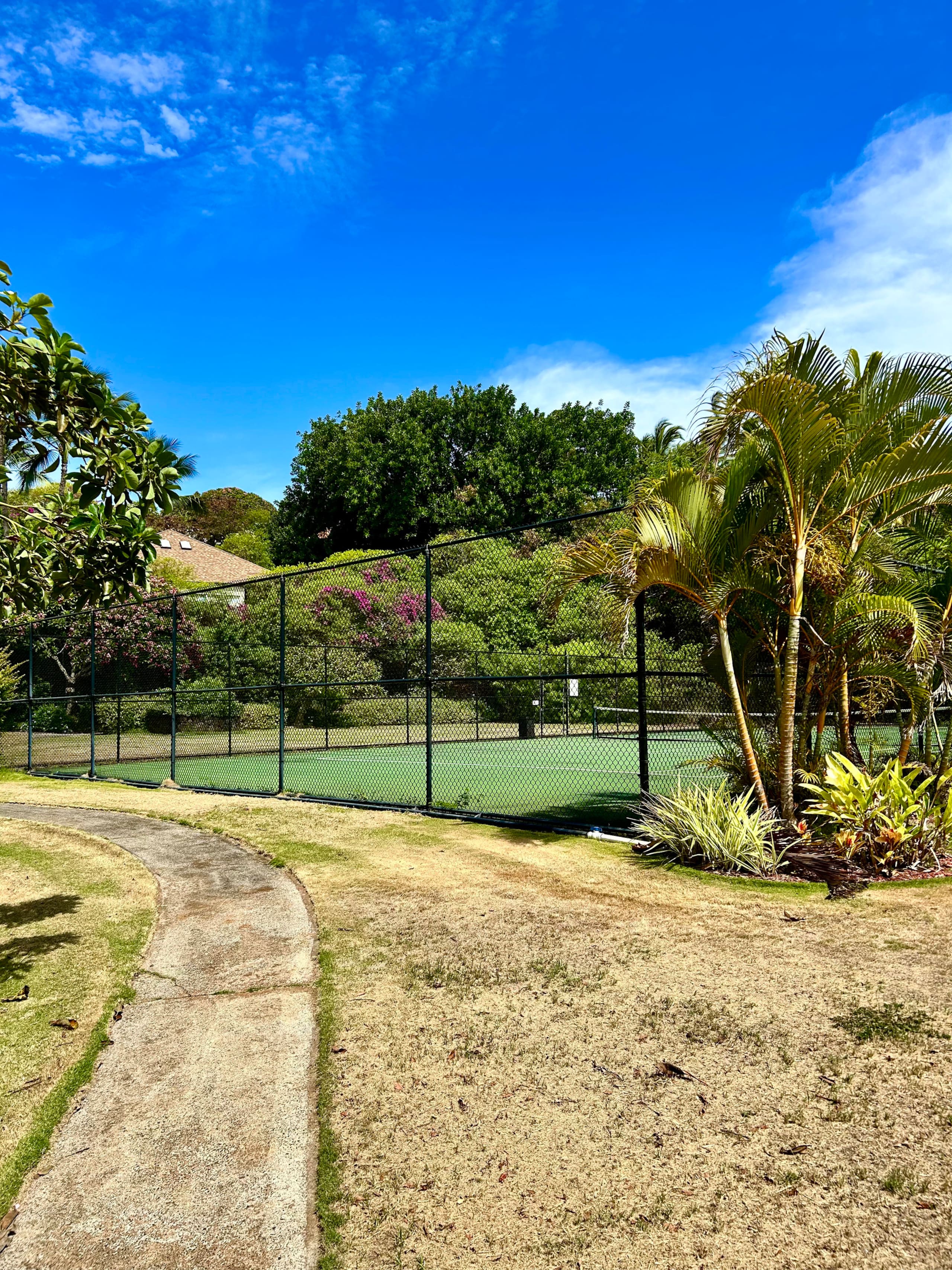 Home in Koloa · ★4.97 · 2 bedrooms · 5 beds · 2 baths - Image 74