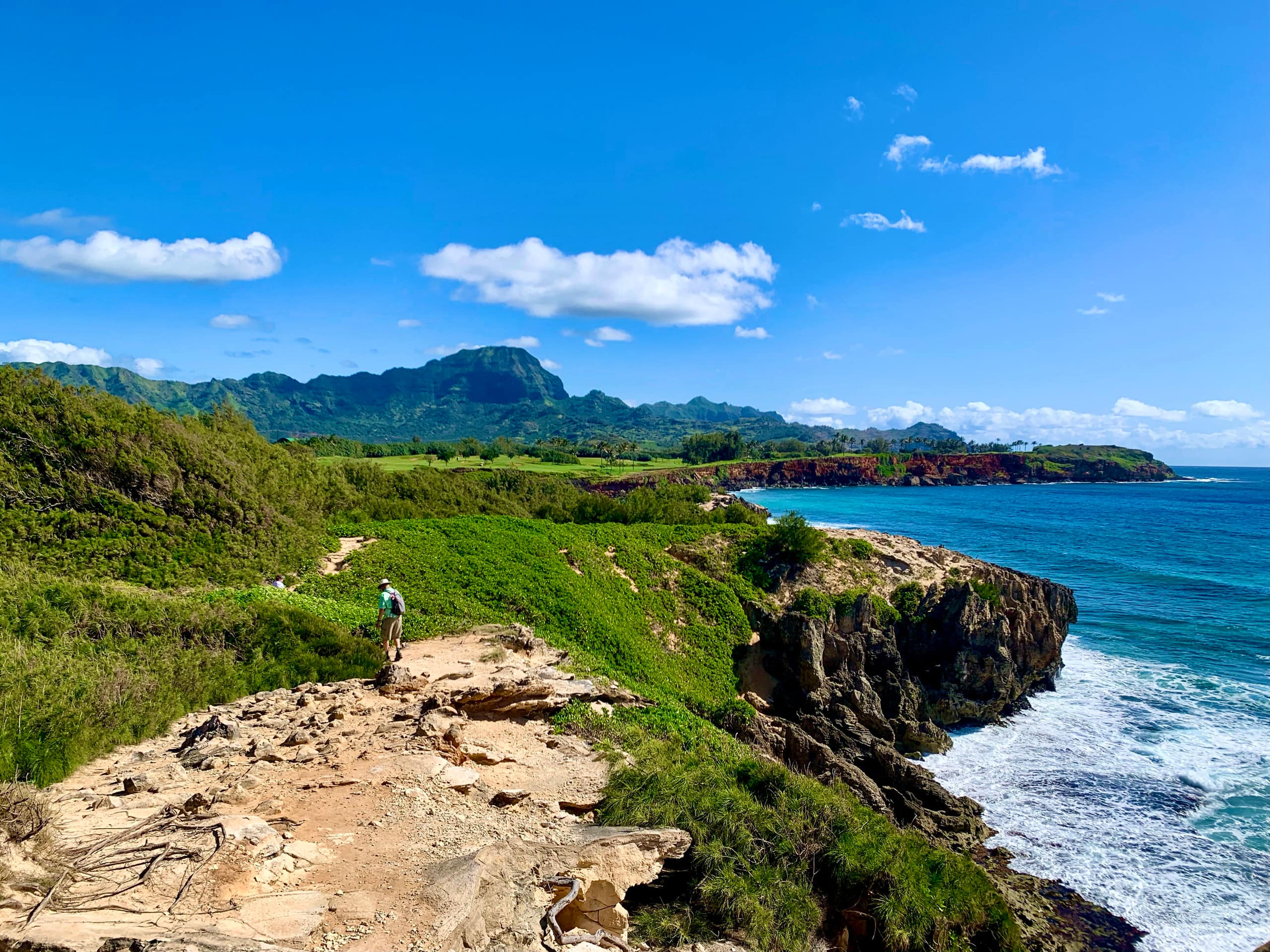 Home in Koloa · ★4.97 · 2 bedrooms · 5 beds · 2 baths - Image 86