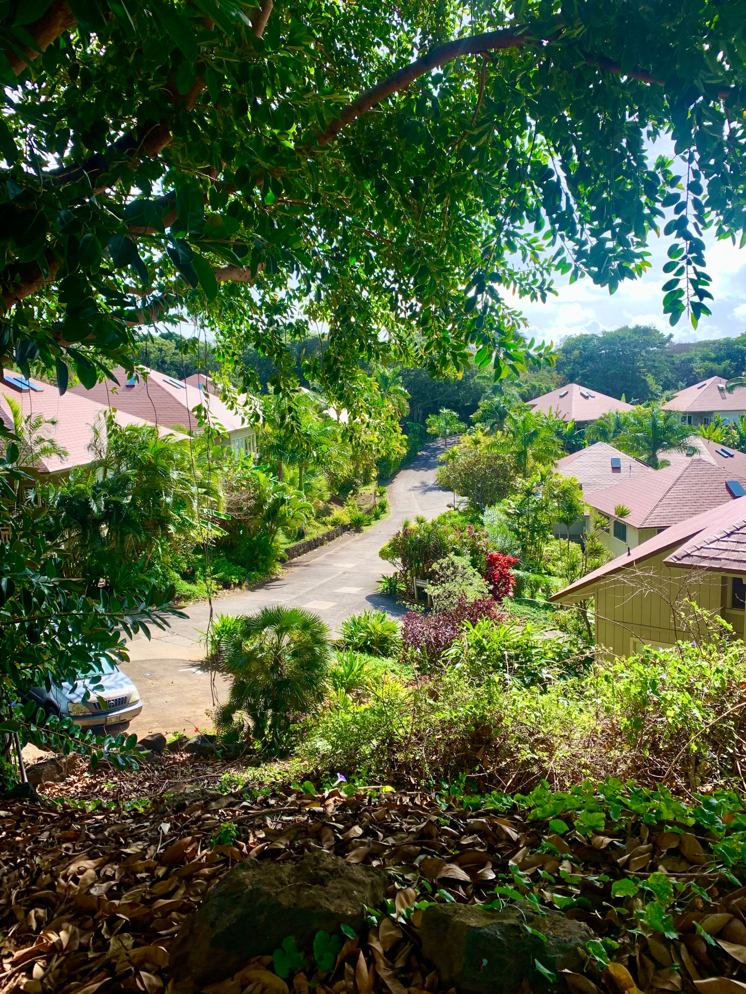 Home in Koloa · ★4.97 · 2 bedrooms · 5 beds · 2 baths - Image 73