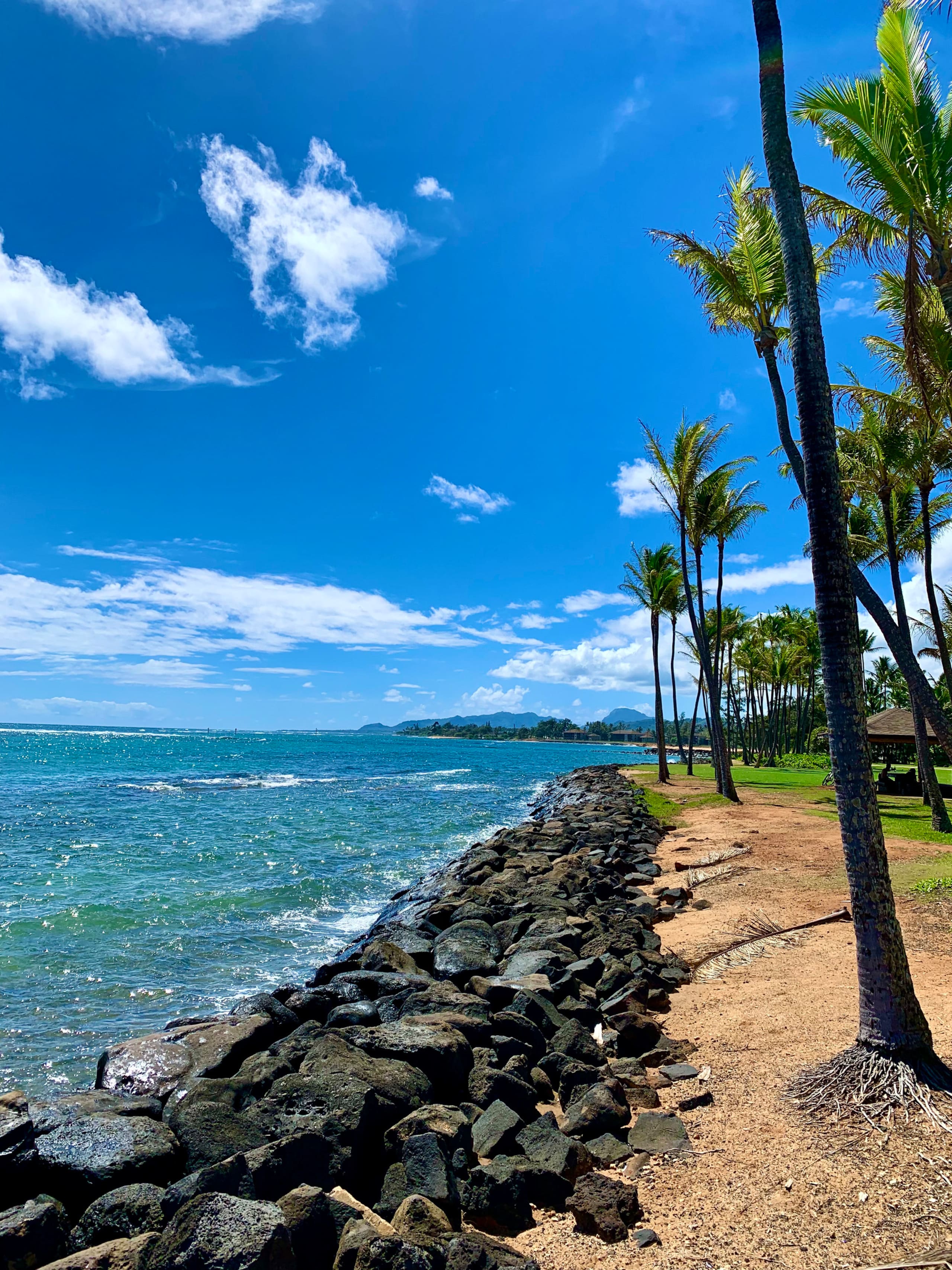 Home in Koloa · ★4.97 · 2 bedrooms · 5 beds · 2 baths - Image 84