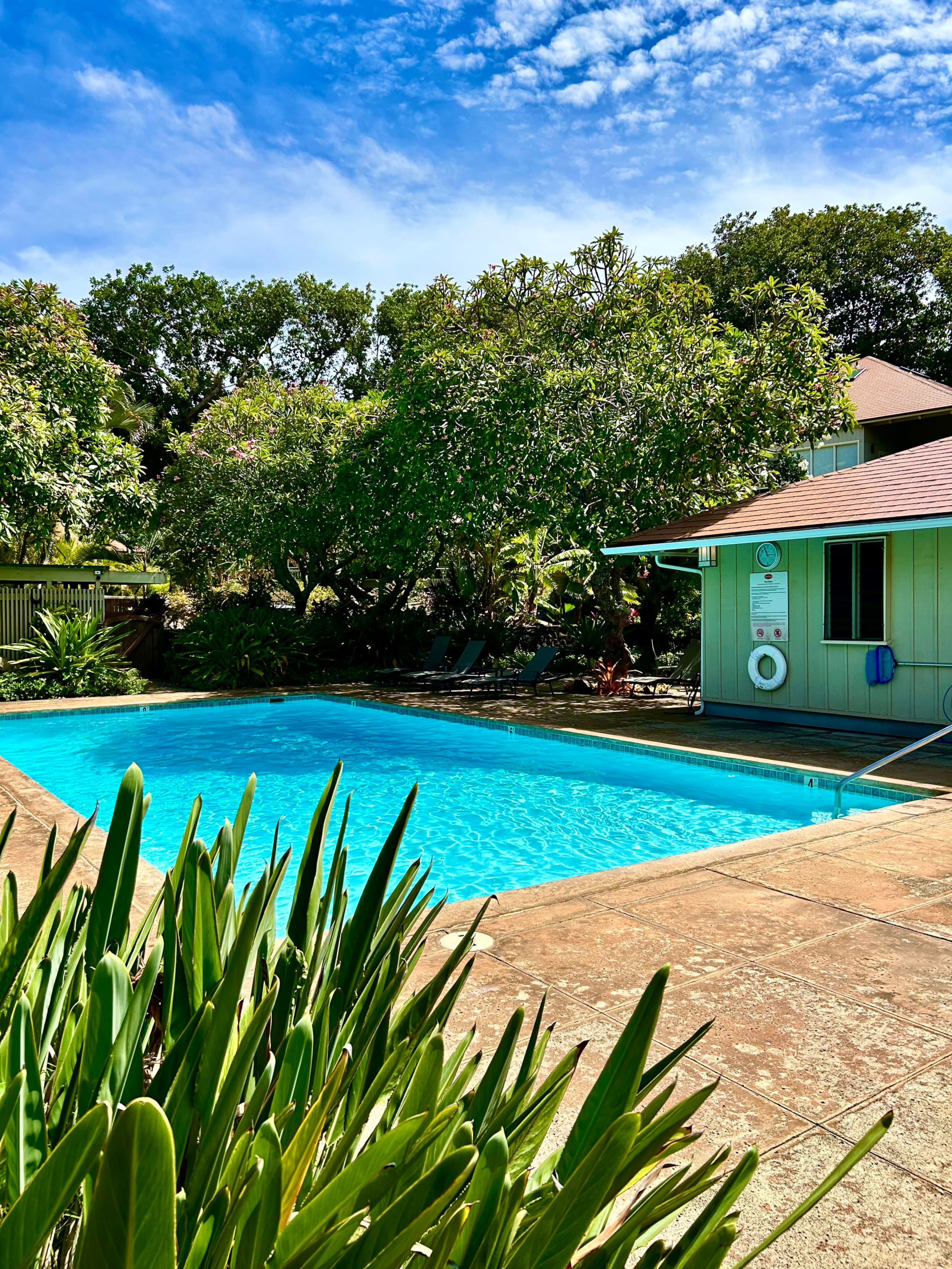 Home in Koloa · ★4.97 · 2 bedrooms · 5 beds · 2 baths - Image 76